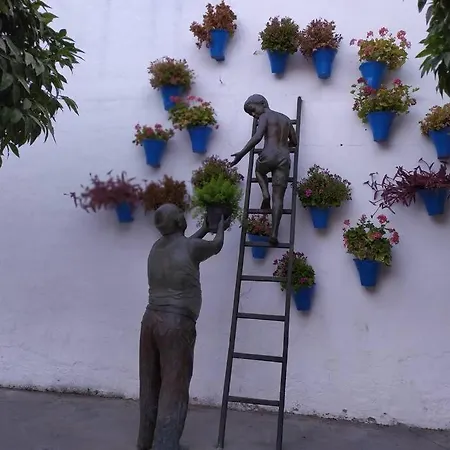 アパート Calle San Basilio - Patios. Aparcamiento Gratis
