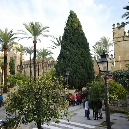 Calle San Basilio - Patios. Aparcamiento Gratis アパート *