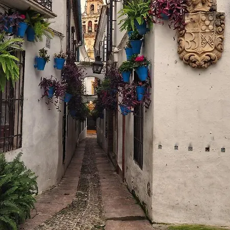 Calle San Basilio - Patios. Aparcamiento Gratis アパート コルドバ